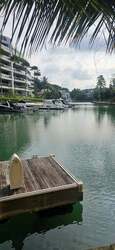 Cove Drive (D4), Detached #457031761